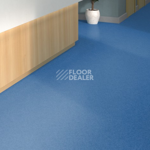 Tarkett iq Melodia 2647 фото 2 | FLOORDEALER